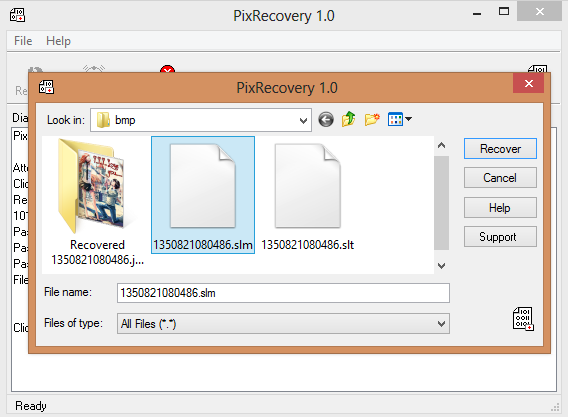 Open Pix Recovery Files 1